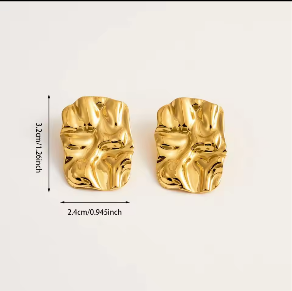 Wrinkle Shaped Earrings